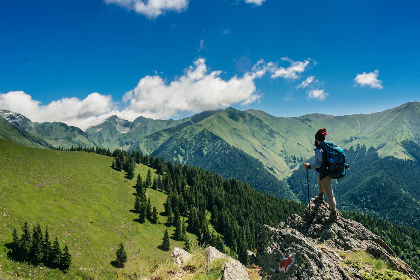 Client support and travel planning