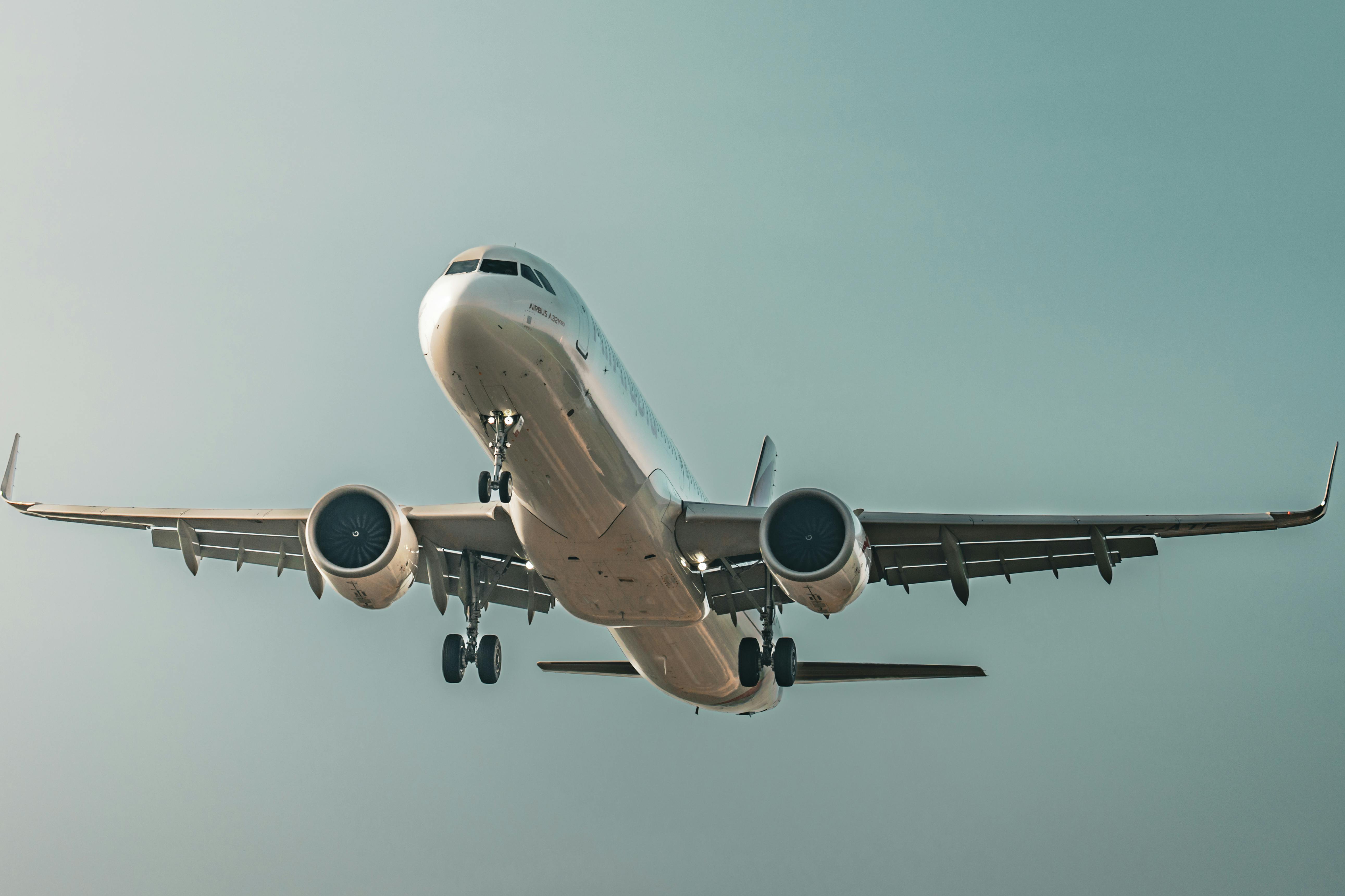Flight Bookings