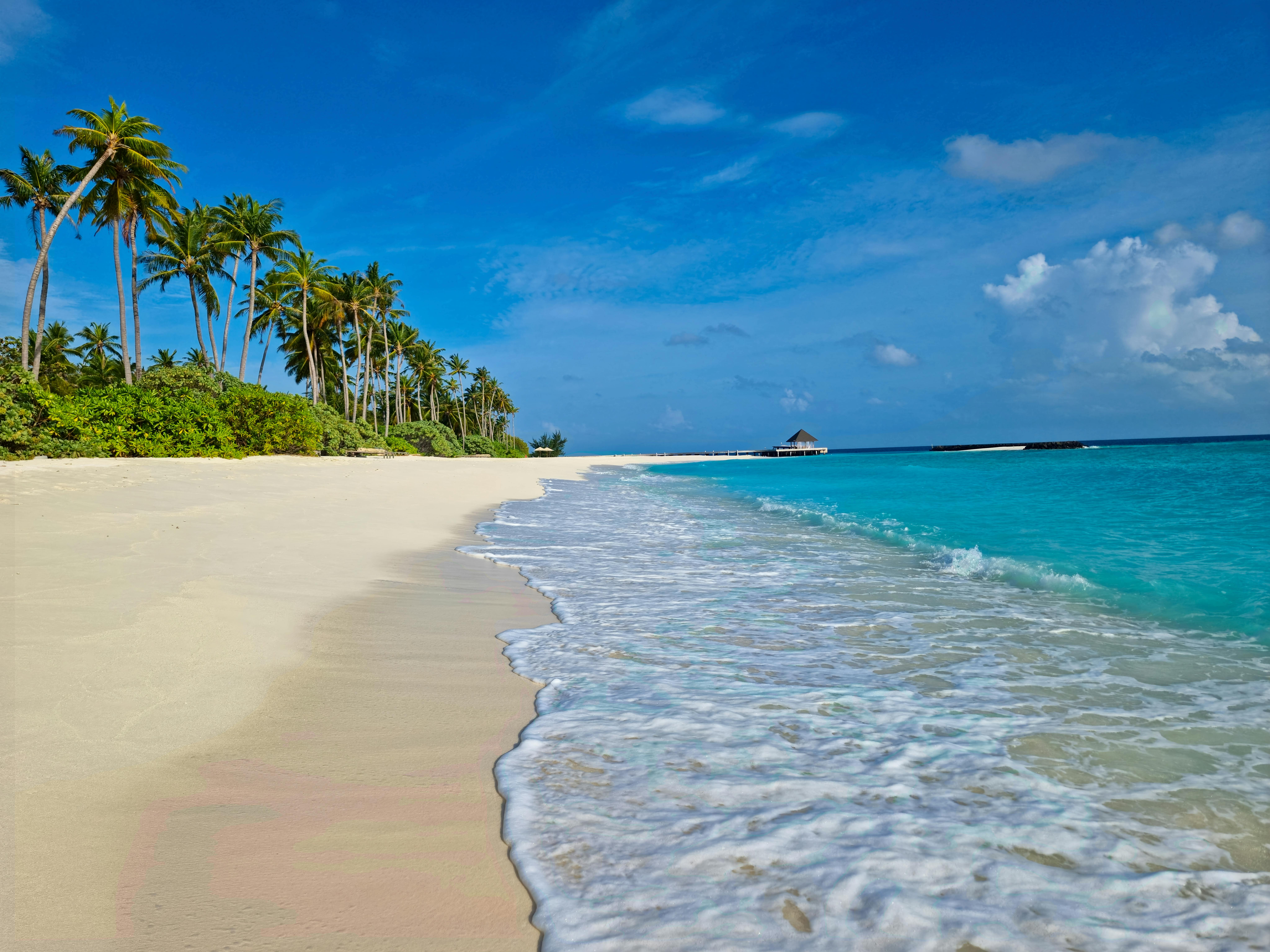 Holiday Packages